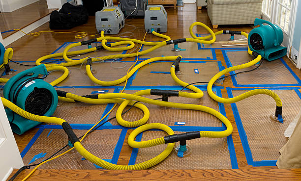 Professional Water Damage Restoration technician working in Old Washington, OH